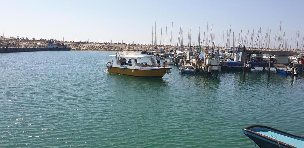 Rotem In Marina Ashklon * Ashkelon